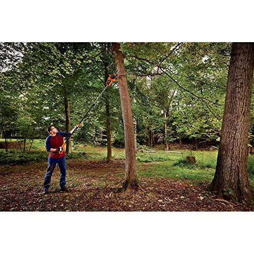 BLACK+DECKER BECSP601 8 Amp 10 in. 2-in-1 Electric Pole Chainsaw thumbnail 4