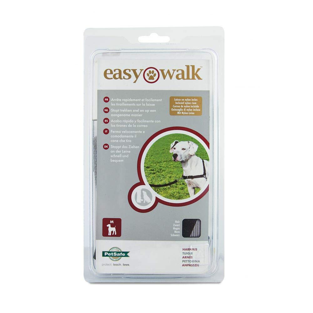 easy walk