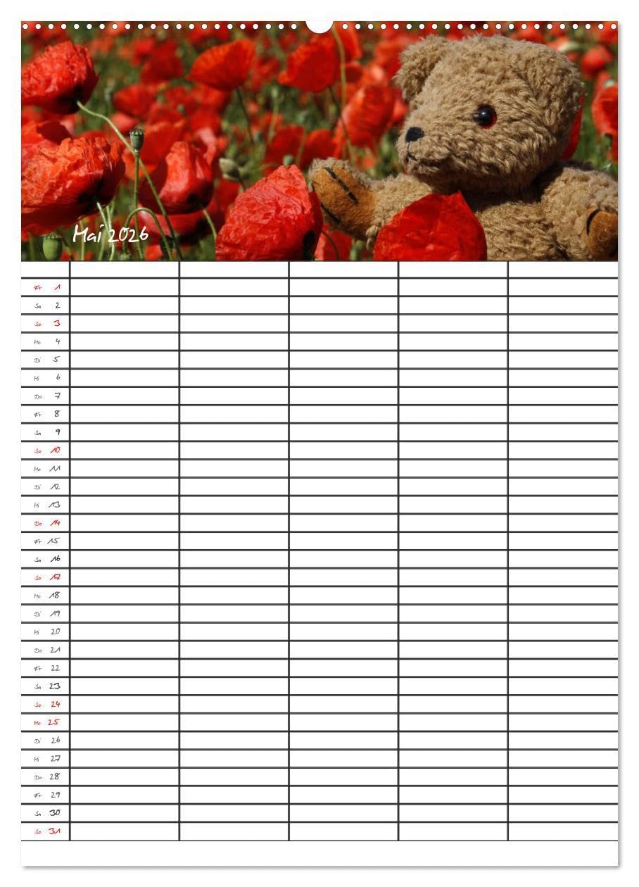 Der Teddybären-Familienplaner (hochwertiger Premium Wandkalender 2026 DIN A2 hoch), Kunstdruck in Hochglanz: Teddy KramBam und seine bärigen Freunde (CALVENDO Spass)