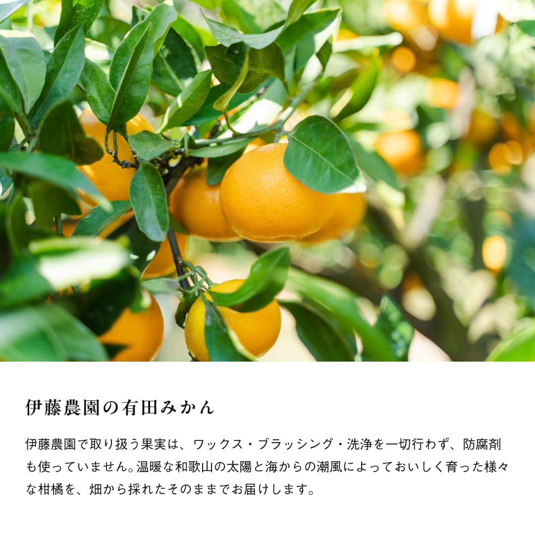 Amazon.co.jp: みかん 訳あり 5kg 小粒 S 2S 3S サイズ混合 和歌山県産