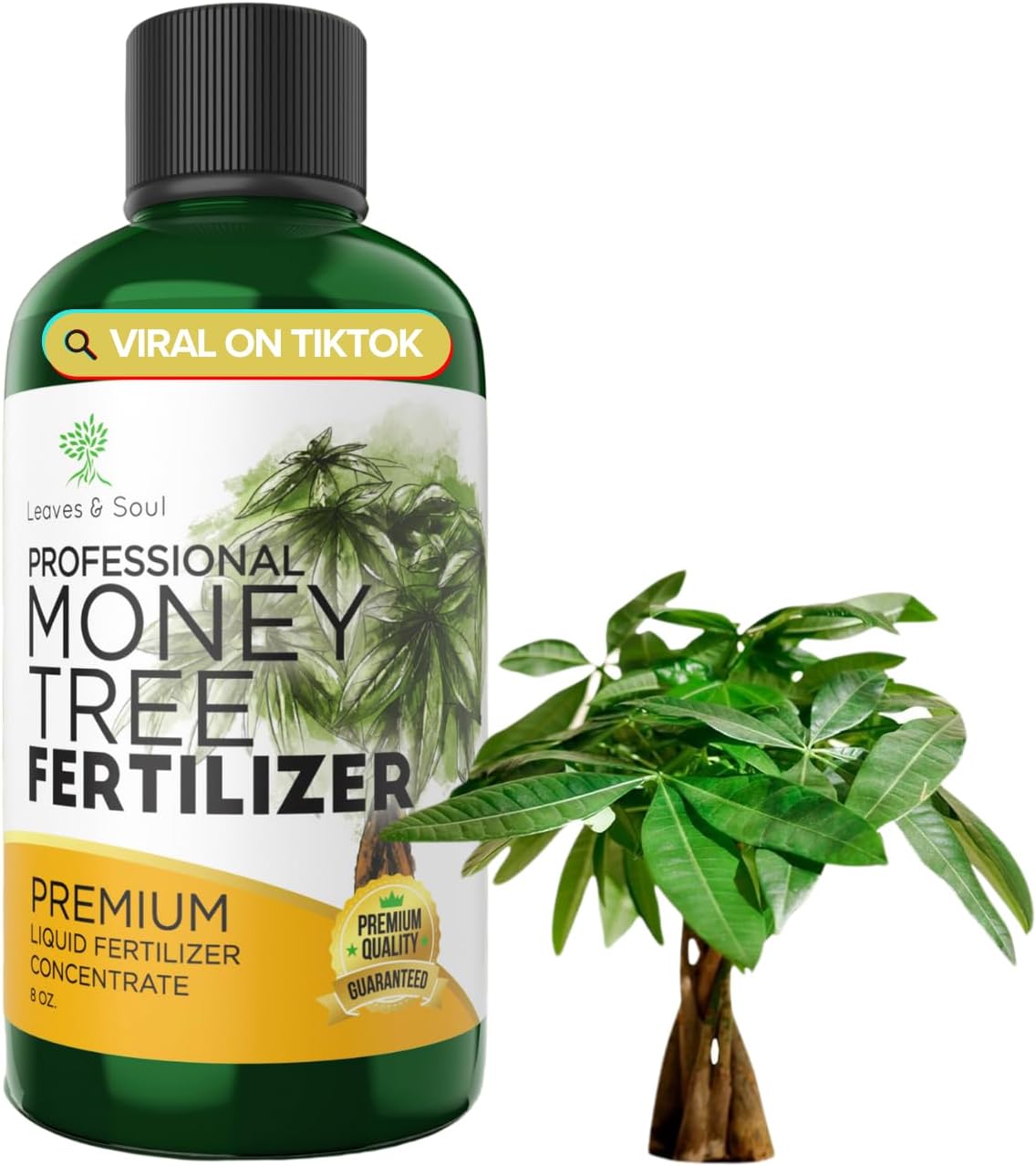 Professional Liquid Money Tree Fertilizer | 3-1-2 Concentrate for Plants and Flowers | Multi-Purpose Blend & Gardening Supplies | 8 oz Bottle