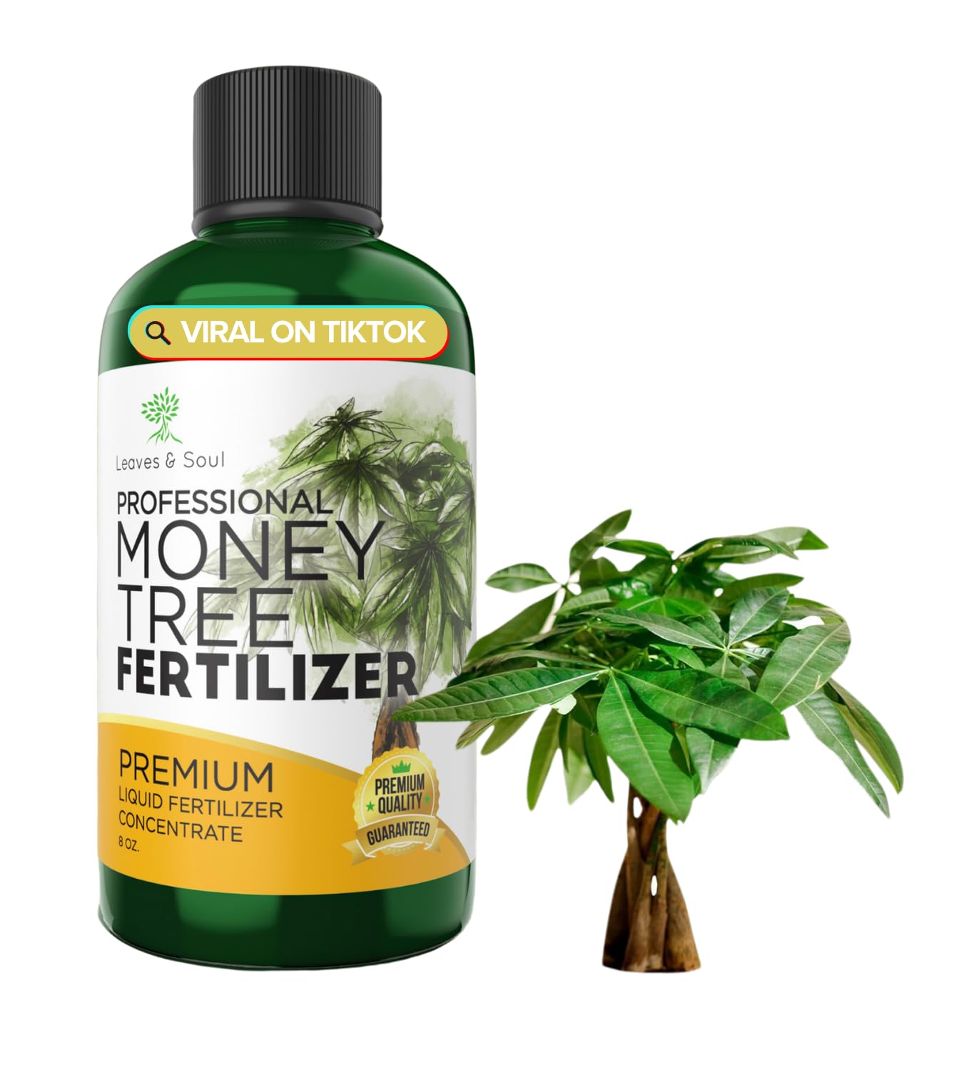 Professional Liquid Money Tree Fertilizer | 3-1-2 Concentrate for Plants and Flowers | Multi-Purpose Blend & Gardening Supplies | 8 oz Bottle