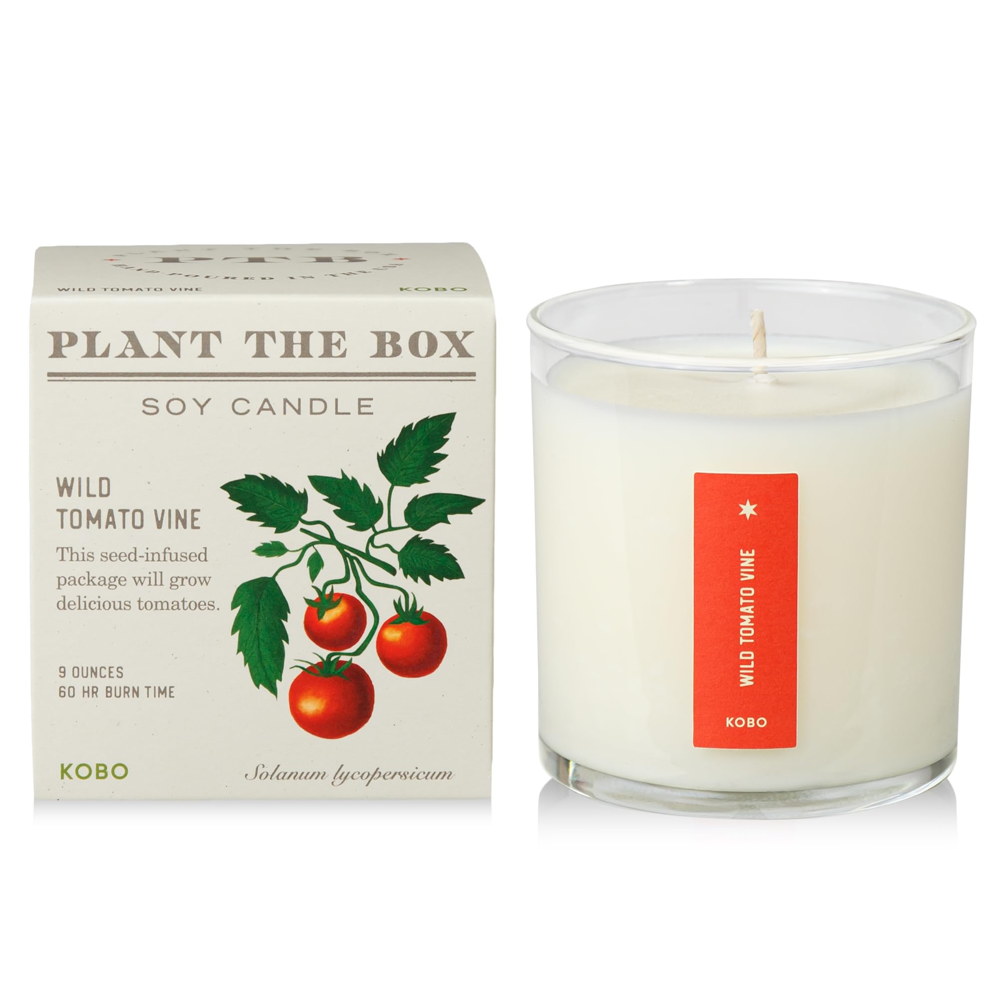 Amazon.com: KOBO Wild Tomato Vine Candle with Plantable Box (9 oz