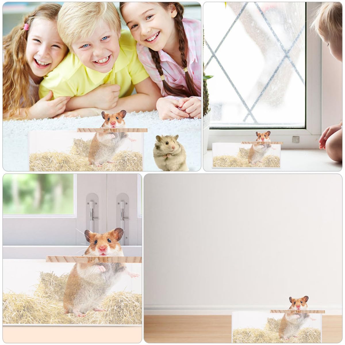 Durchsichtige Hamsterbadewanne und Leichtem Design für Zuhause 2 Stück aus Acryl mit Glatter Oberfläche und Kleintiere