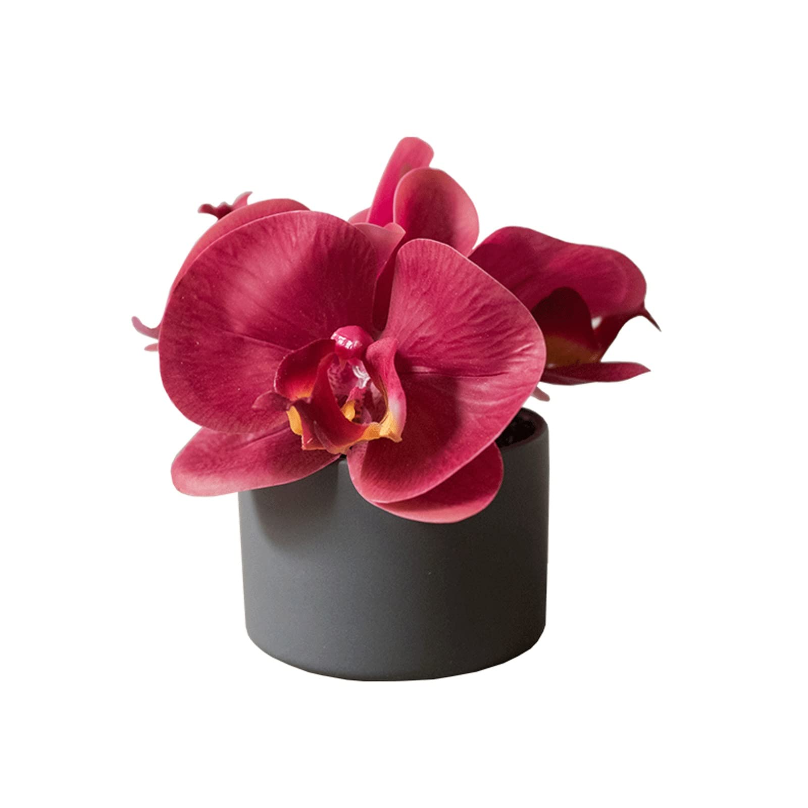 Faux Phalaenopsis en pot miniature pour décorer une table basse de salon