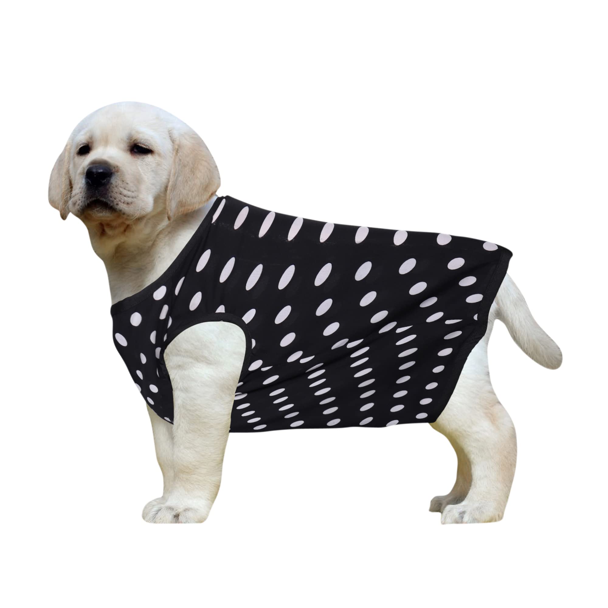 See full amazon price history chart for Western Era Funky Soft Cotton Dog T-Shirt | Comfortable & Breathable Dog Clothing | Sleeveless Vest Puppy Outfit |(Polka Black) (Small) (14inches) Western Era Funky Soft Cotton Dog T-Shirt | Comfortable & Breathable Dog Clothing | Sleeveless Vest Puppy Outfit |(Polka Black) (Small) (14inches) (B09WK4S6YV) Amazon Price History, Amazon Price Tracker