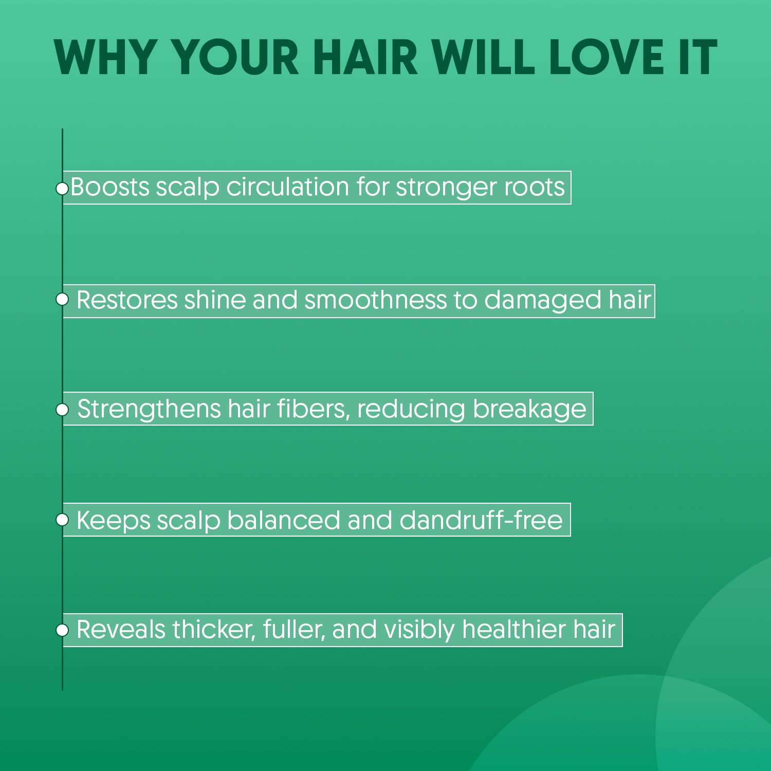 Aravi Organic Rosemary Anti Hairfall & Hair Growth Shampoo & Conditioner Combo | Sulphate Free Shampoo For Men & Women | For Dry & Frizzy Hair | Stronger & Healthier Hair | Pack Of 2 4