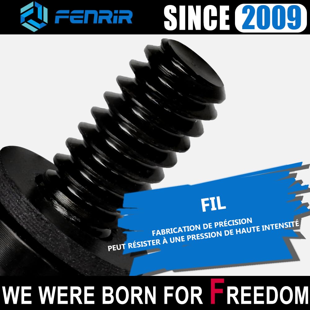 Fenrir Kit Vis Selle Amovible Harley - Boulons Fixation Rapide Sans Outil Pour Moto 1997 à Aujourd'hui (Vis Noires Taille Standard)