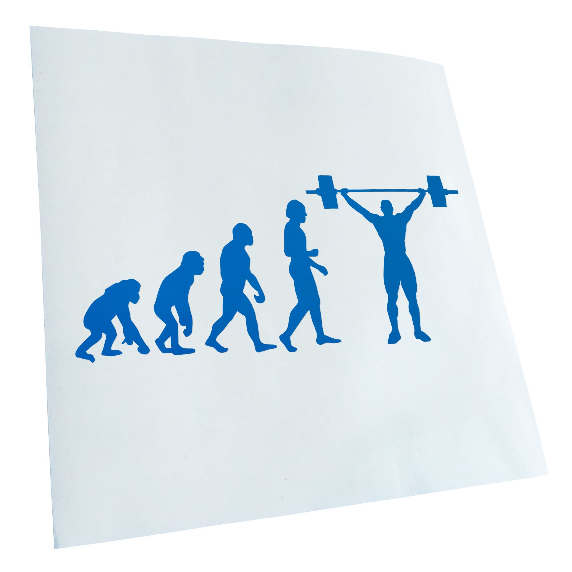 Kiwistar - Car Sticker - Blue - 40 x 17 cm Evolution Weightlifter - Rear Window Car Sticker Weatherproof for Car Truck Moped Truck - Sticker Exterior Self-Adhesive Tuning Accessories for Window