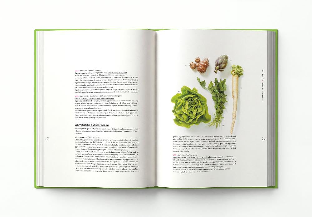 Il codice della cucina vegetariana