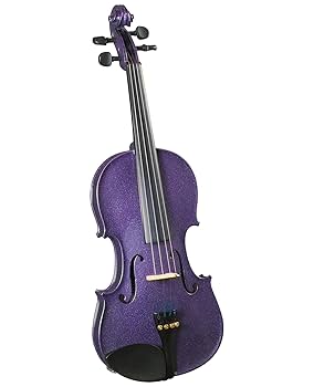 Amazon.com: Cremona SV-75 Premier Novice Violin Outfit