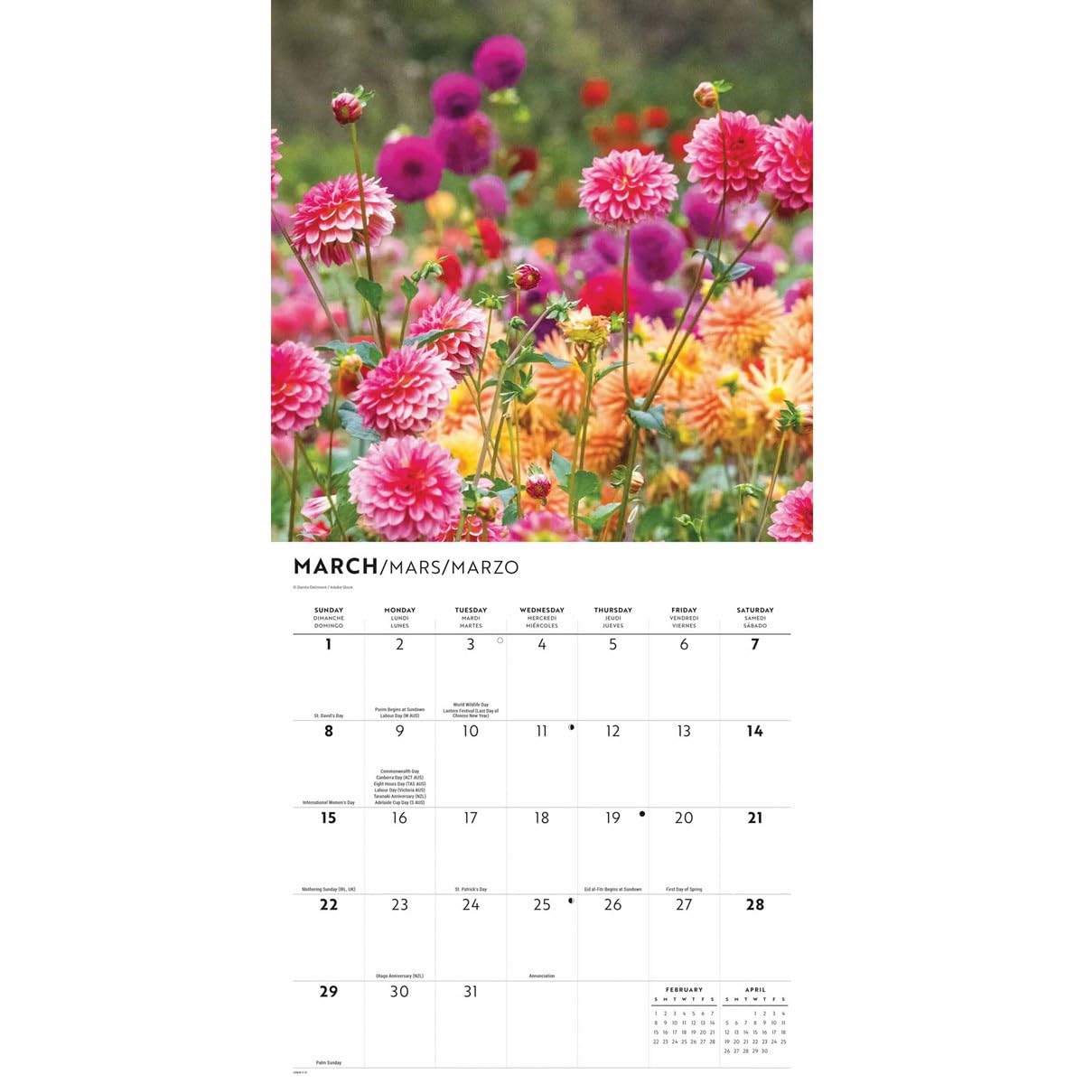 Carousel Calendars, Kalendarz ścienny In the Garden 2026, 30 x 30 cm, 16-miesięczny kalendarz z zszywanym wiązaniem