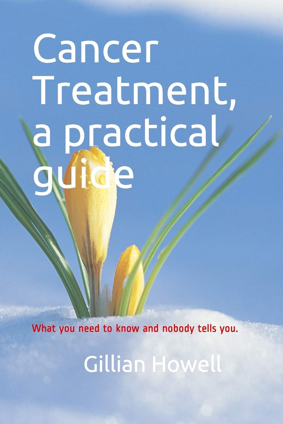 Cancer Treatment - a practical guide: What you need to know and nobody tells you.