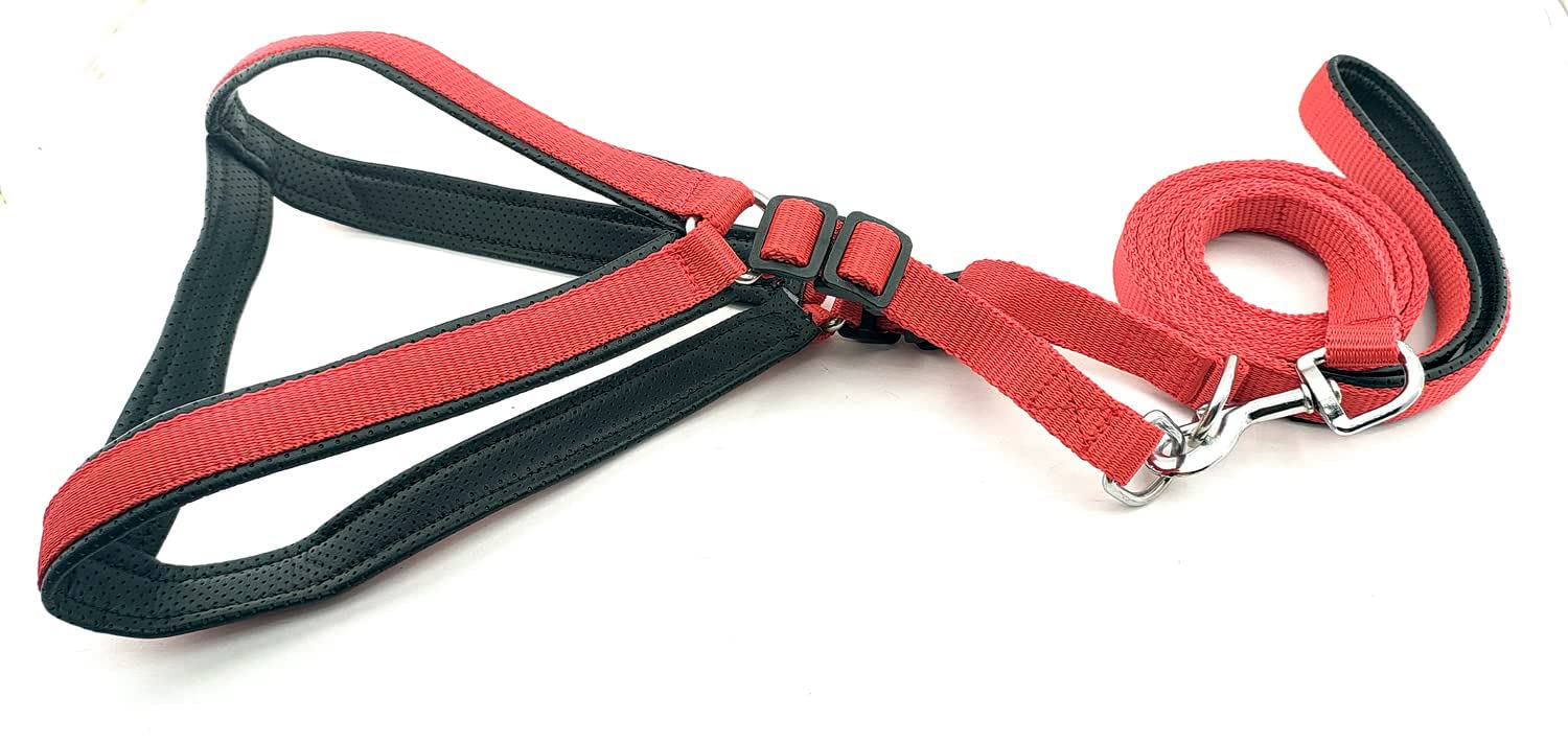 See full amazon price history chart for RvPaws Nylon Body Harness Leash with Black Padding Dog Harness and Leash Set 1 Inch Red (Medium Size) RvPaws Nylon Body Harness Leash with Black Padding Dog Harness and Leash Set 1 Inch Red (Medium Size) (B09XD5VC8G) Amazon Price History, Amazon Price Tracker