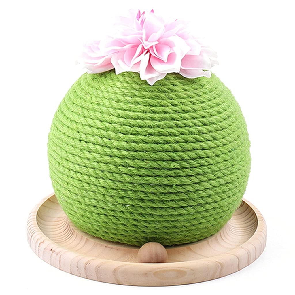 Jouet pour chaton avec balle de paille et griffoir cactus sur socle bois