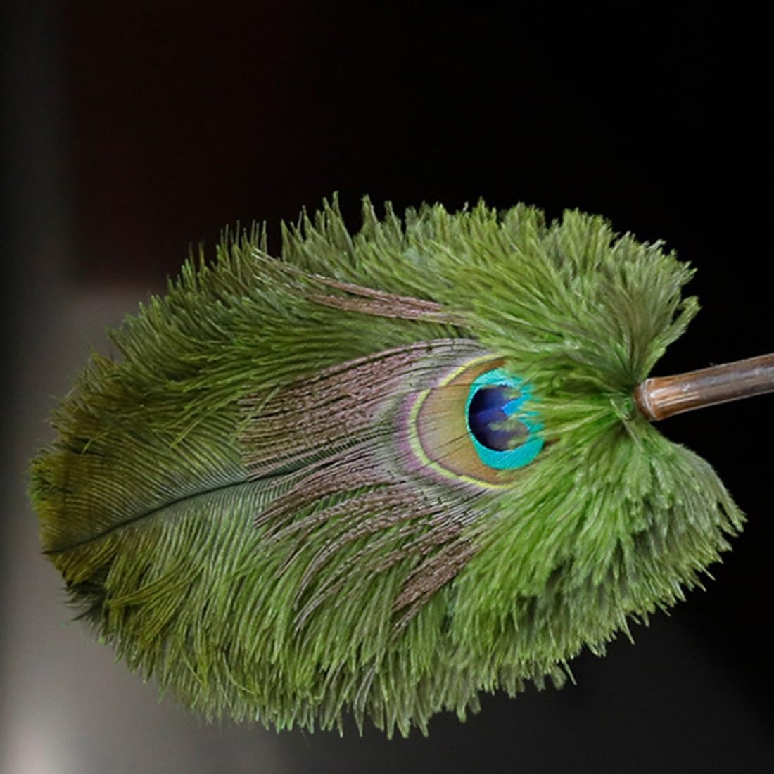 plumero de plumas, Plumero con mango, reutilizable, for limpiar coche, ordenador, hogar, oficina, dormitorio, verde(M)