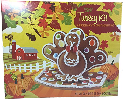 Trader Joe's Gingerbread Turkey Kit