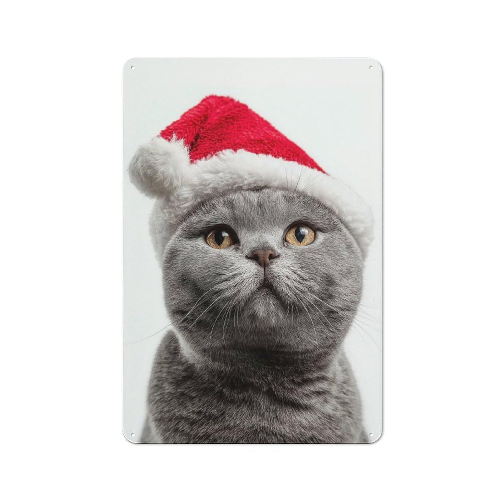 Junmoney British Shorthair Cat With Santa Hat Portrait Bistro Style Cafe Metal Sign 30X20cm Featuring Restaurant Wall Art For Takeaway, Bar, Kitchen Or Counter Area