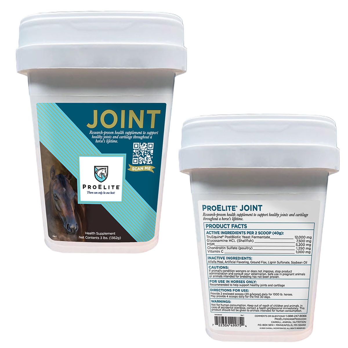 Ready - Set - Bid - Win!