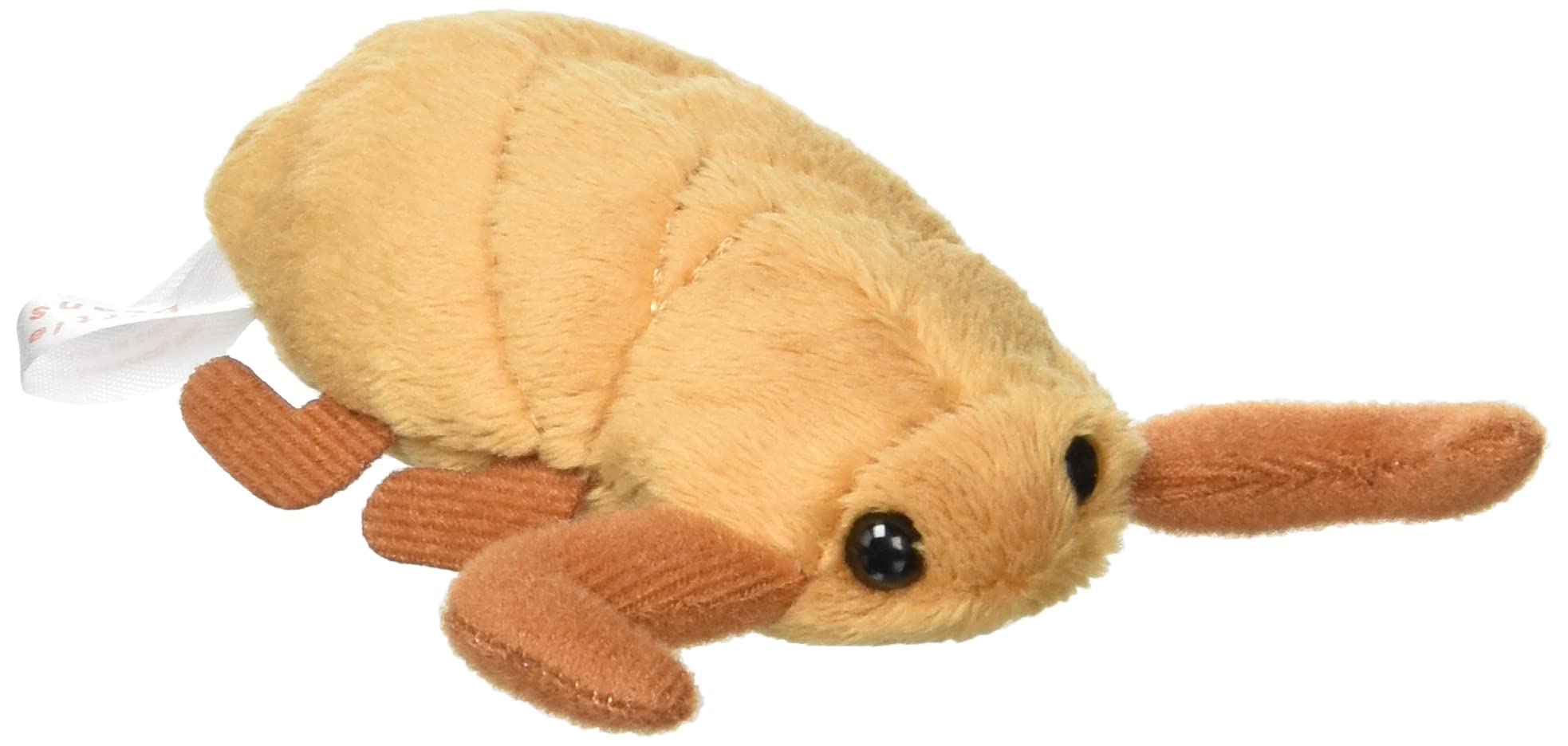 Amazon.co.jp: Little Beans タガメ ぬいぐるみ : おもちゃ