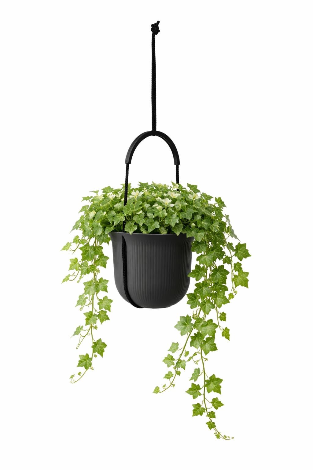 GORDANLUK Ribbed Hanging Plant Pot with Adjustable Rope — Textured Modern Planter for Indoor & Outdoor | Matte Polypropylene, UV Resistant, 2.3L Capacity | 17.9cm Diameter (Black)