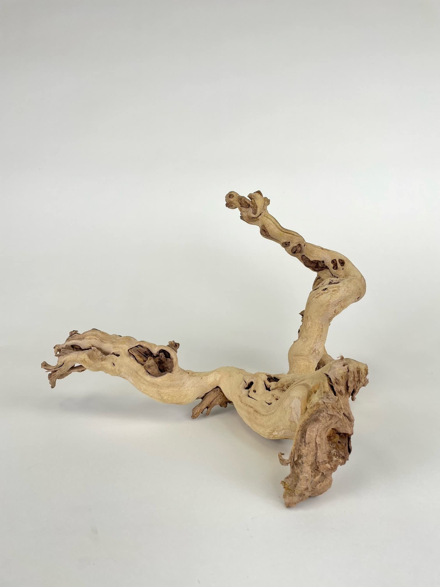 Amazon.com: De La Terre 噴砂天然加州葡萄樹| 裝飾葡萄藤木裝飾(18 英