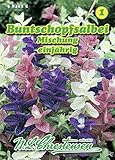 N.L. Chrestensen 584135 Buntschopfsalbei Mischung (Salbeisamen)