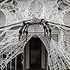 AKEROCK Giant Spider Webs Halloween Decorations Outdoor, Stretchy Gauze Cobwebs, Cut-Your-Own Fake Spider Webbing for Halloween Decor Outside House - White