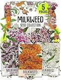 Seed Needs Milkweed Seeds for Planting a Butterfly Garden to Attract Monarch Butterflies - Collection of Pink, Orange & White Asclepias Milk Weed Variety Pack (5 Packs)