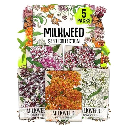 Seed Needs, Milkweed Seed Packet Collection to Attract Monarch Butterflies (6 Individual Seed Varieties to Plant) Heirloom & Untreated Seeds
