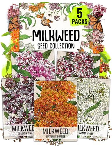 Seed Needs Milkweed Seeds for Planting a Butterfly Garden to Attract Monarch Butterflies -...