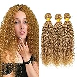 Honey Blonde Human Hair Bundles 27 Human Hair Bundles Color 27 Kinky Curly Human Hair Bundles 10 12 14 inch Blonde Wet and Wavy Bundle Human Hair Weave