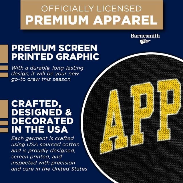 Barnesmith Spirit Logo, Adult Unisex, Crewneck Sweatshirt for College - Image 4