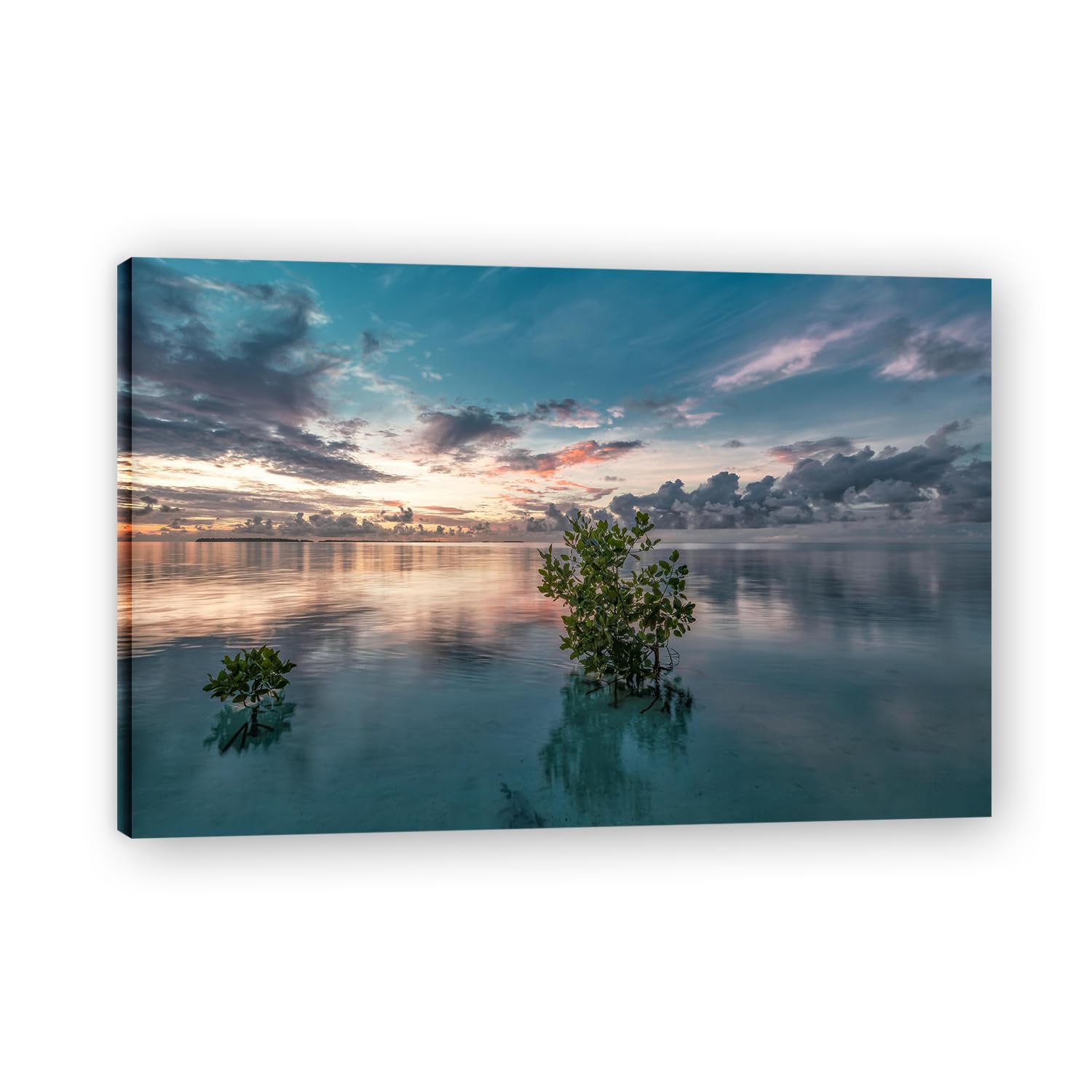 VHdfgTY Growing In WaterMountain Landscape Canvas Wall Art Nature Scenery Wall Decor for Home 30x45cm Framed