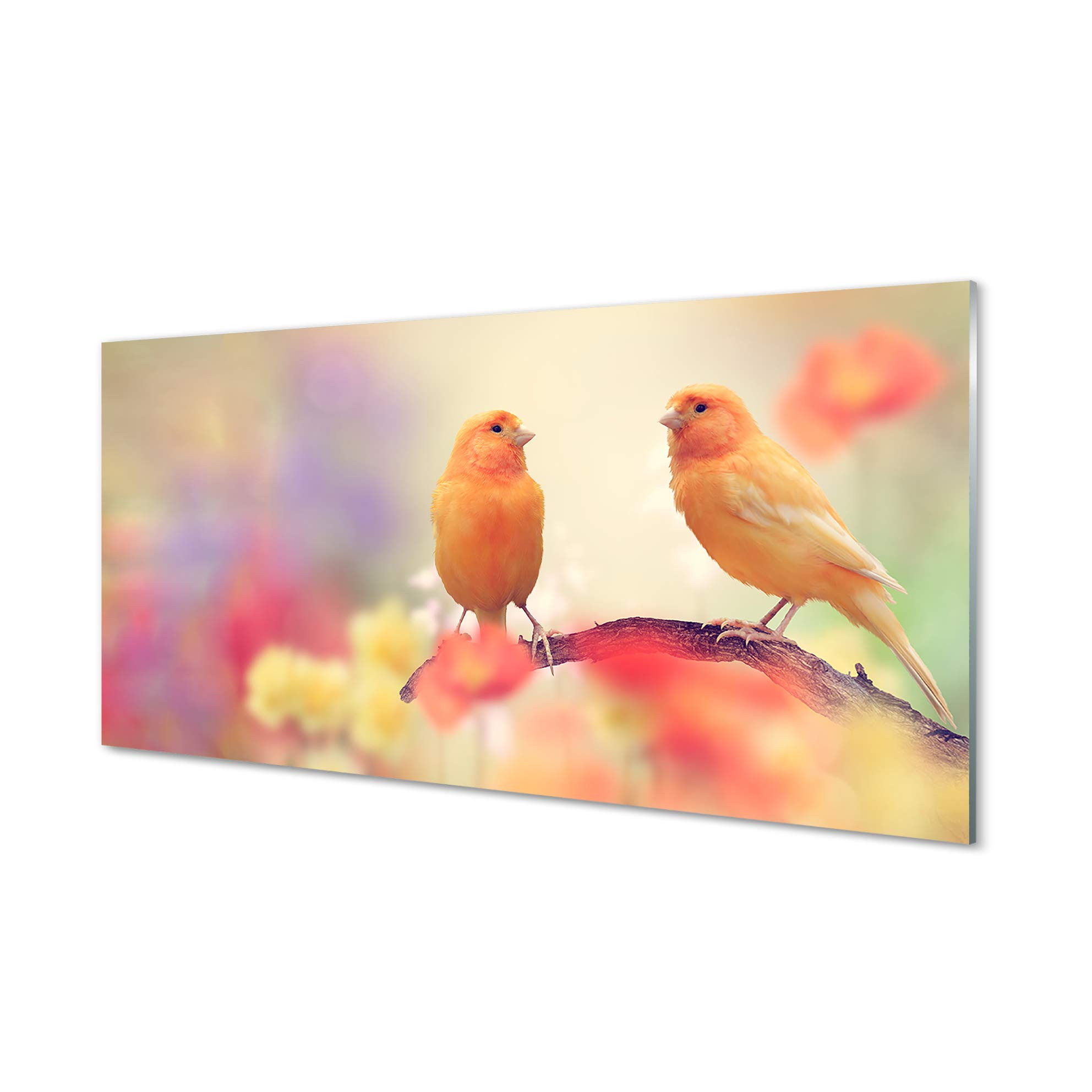 Planche à Découper En Verre Trempé Tulup - 60x52 Cm - Motif Ara Perroquets