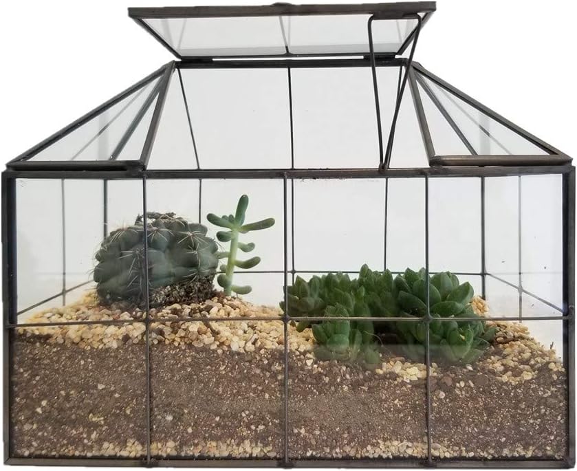 carbone attivo per terrari