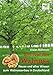 Produktbild Revival der Walnuss: Neues und altes Wissen zum Walnussanbau in Deutschland