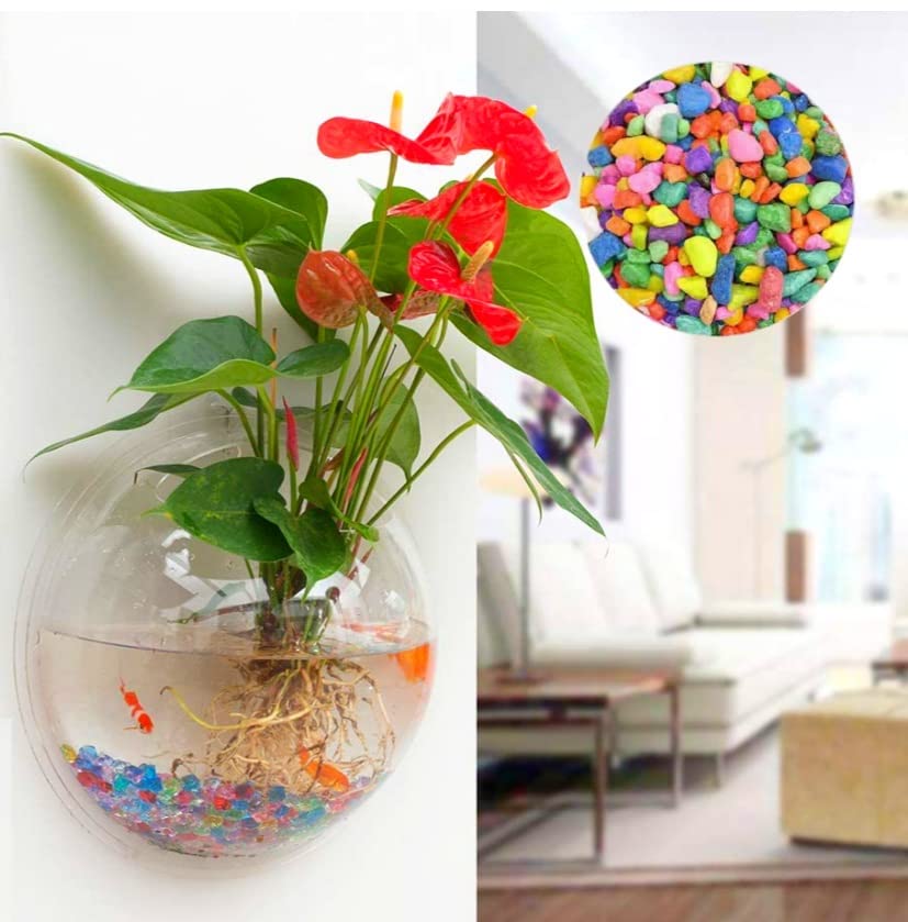 VAYINATO® 9 Inch Acrylic White Wall Hanging Bowl (with Free Stones) for Fish and Indoor Water Plants Wall Decoration (9 Inch) by Petzlifeworld (B0C1C9YX7C) Amazon Price History, Amazon Price Tracker