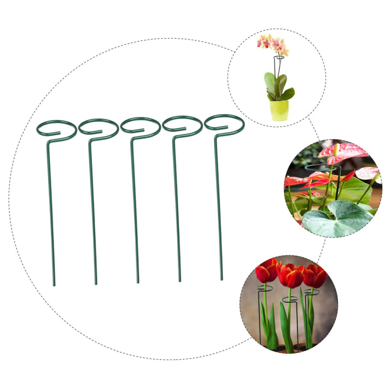 BESTonZON 2 Sätze Schmiedeeisenpflanze -stützrahmen Zimmerpflanzen Gartenpflanzenregale Unterstützung des Blütenstiels Unterstützen Sie Die Blumeneinsätze Blumenstammpfahl Grün 5 Stücke * 2