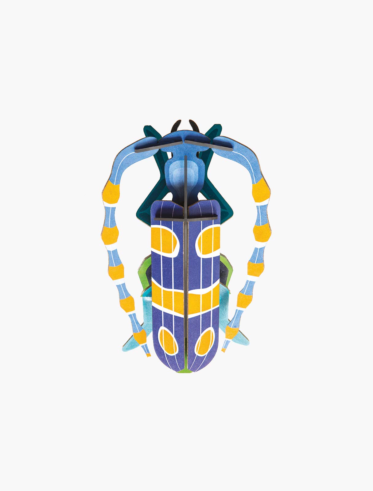 STUDIO ROOFWall Art Beetles, Rosalia Beetle, Eco-Friendly & Creative Gift