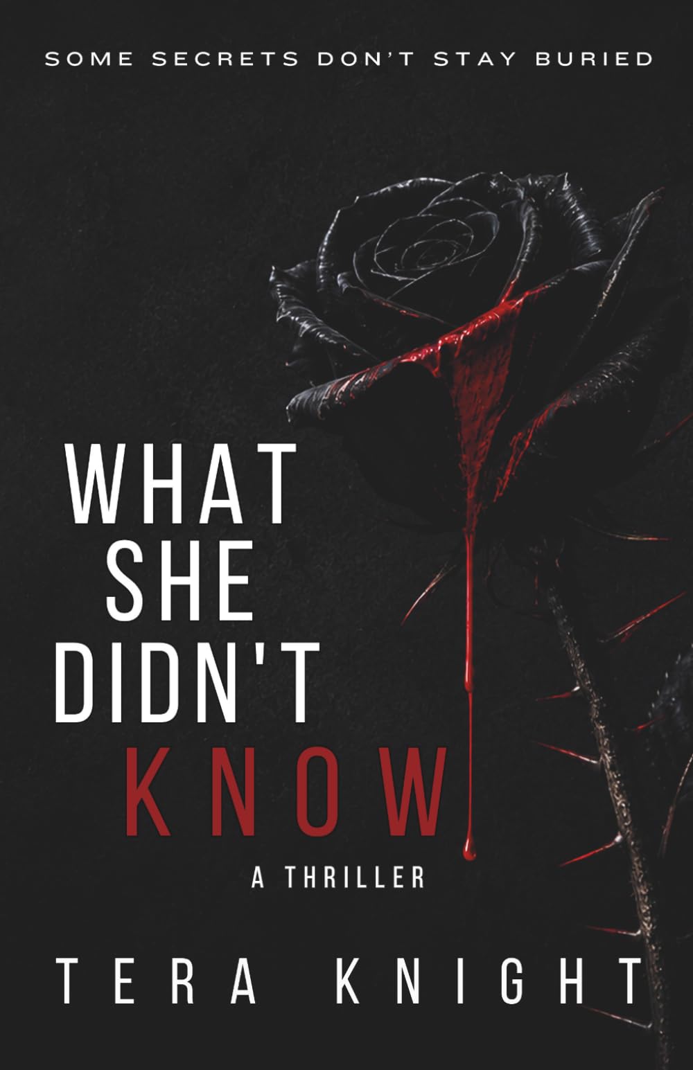 What She Didn't Know: Some Secrets Don't Stay Buried