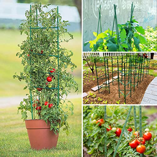 4Ft 3-Pack Tomato Cage For Garden Plant Cages, Up To 48Inch Plant Supports Tomato Trellis Stakes For Potted Plants, Heavy Duty Tomato Cages Cucumber Trellis For Garden Vertical Climbing Plants Flowers #TOP3