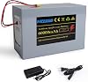 Ebike Battery Pack, 72V 60Ah Lithium Battery Unit with 2Ah Charger, 30A BMS Protection for 0-3500W Motors, Electric Bicycle Ebike and Scooter