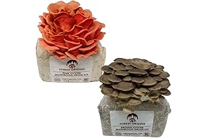 Forest Origins Pink & Brown Oyster Mushroom Grow Kit 2-Pack