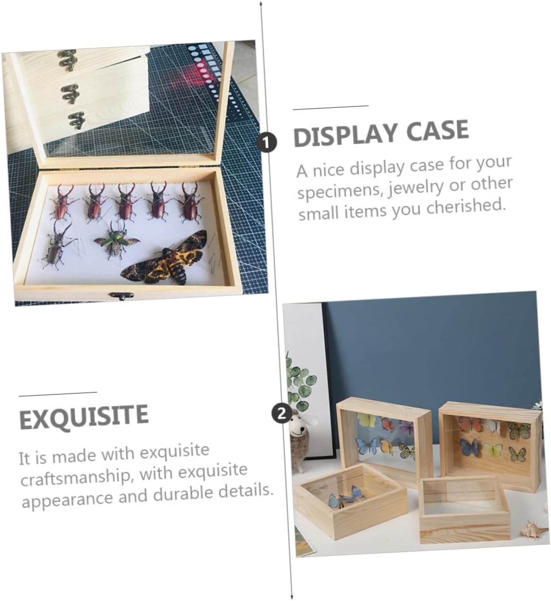 VALICLUD Compact Entomology Display Specimen Collection Box Frame Wooden Shadowbox Storage Case