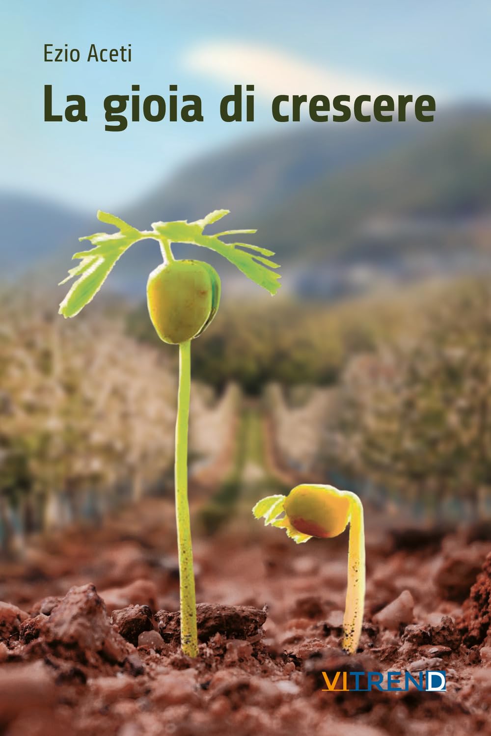 La Gioia Di Crescere. Fatica E Bellezza Dell'educare - 4