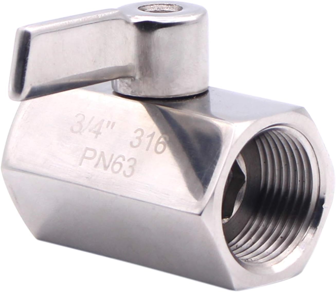DERNORD 3/4 Inch NPT Ball Valve Female&Female with Stainless Steel Handle (Pack of 2)