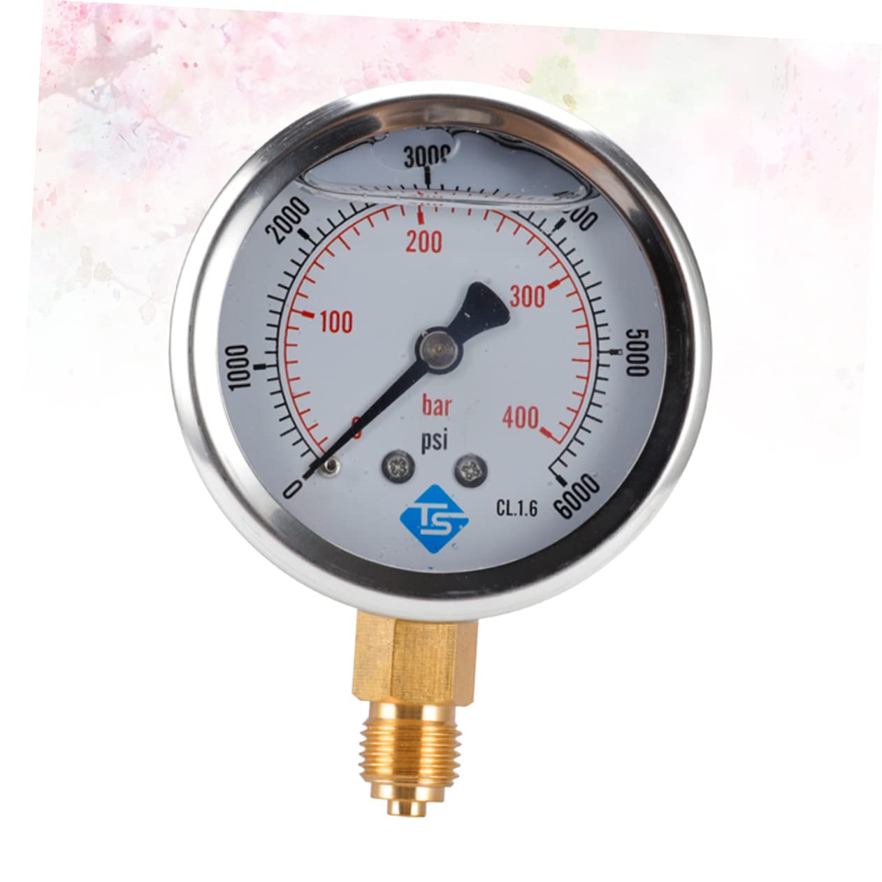 Manometro Acqua Y60 Manometro Radiale per lubrificazione 604 Manometro Precision Suite Riempito d'olio