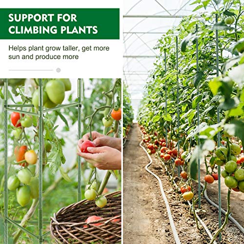 Derlights 5-Pack Tomato Cages Deformable Plant Supports Tomato Support Garden Plant Cages Multi-Functional Tomato Cucumber Trellis For Climbing Vegetables With 15Pcs Clips #TOP5
