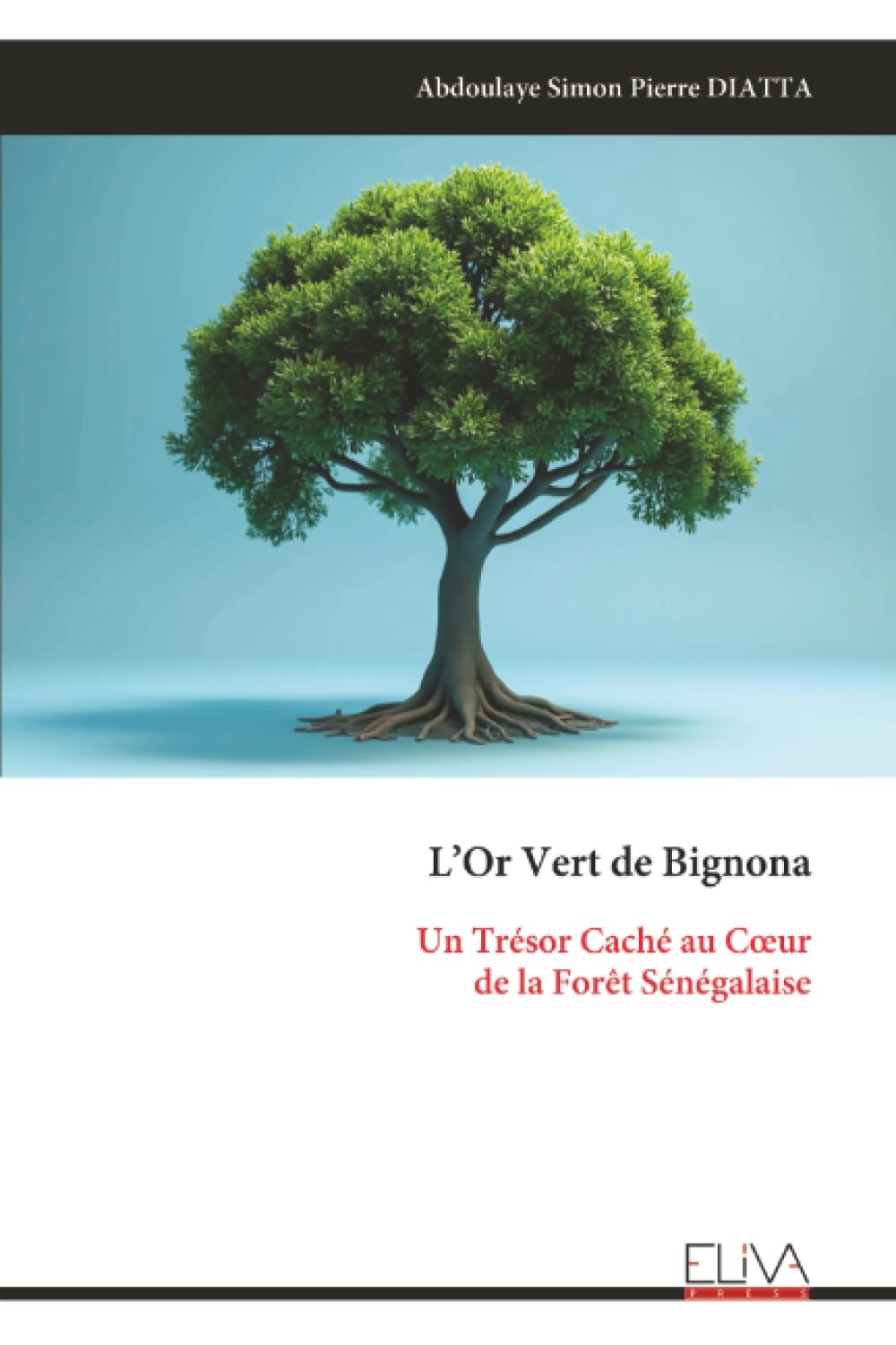 L’Or Vert de Bignona: Un Trésor Caché au Cœur de la Forêt Sénégalaise
